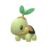 Buy Turtwig in Brilliant Diamond & Shining Pearl